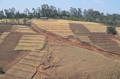 ethiopie0535