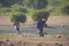 ethiopie0545
