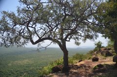 ethiopie0548