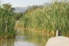 ethiopie0584