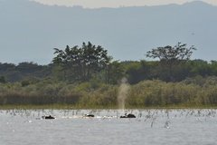 ethiopie0586
