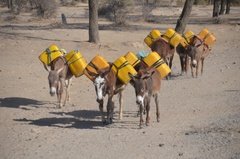 ethiopie0699