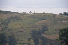 ethiopie1001