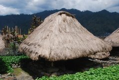 filipijnen2781