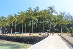 frans-guyana3037