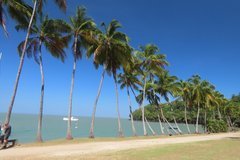 frans-guyana3040
