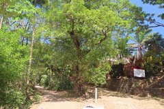 frans-guyana3046