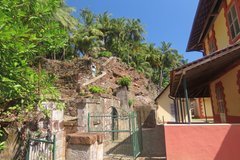 frans-guyana3055