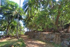 frans-guyana3056