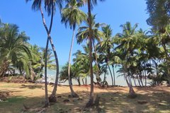 frans-guyana3057