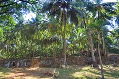 frans-guyana3058
