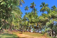 frans-guyana3061
