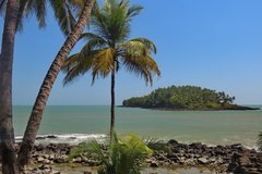 frans-guyana3062