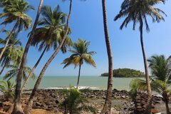 frans-guyana3063