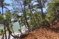 frans-guyana3070