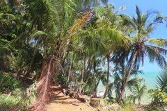 frans-guyana3071