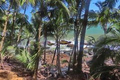 frans-guyana3072