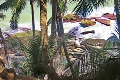 frans-guyana3076