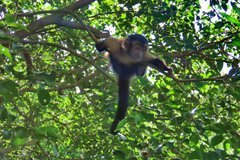 frans-guyana3083