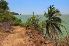 frans-guyana3092