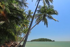 frans-guyana3095