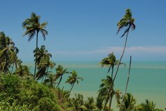 frans-guyana3107