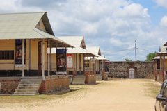 frans-guyana4019
