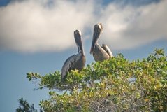 galapagoseilanden1006