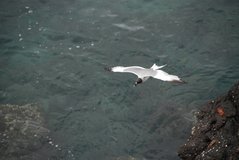 galapagoseilanden2025