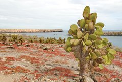 galapagoseilanden2046