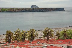 galapagoseilanden2047
