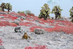 galapagoseilanden2053