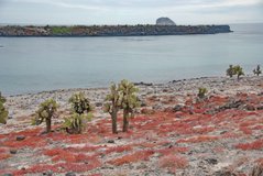 galapagoseilanden2057