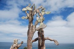 galapagoseilanden2544