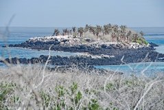 galapagoseilanden2554