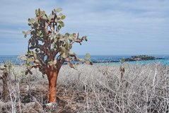 galapagoseilanden2557