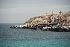 galapagoseilanden2579