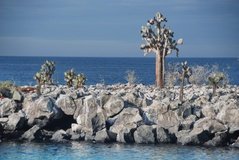 galapagoseilanden2582