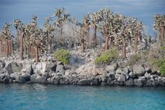 galapagoseilanden2583