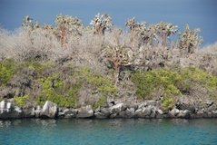 galapagoseilanden2584