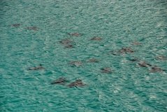 galapagoseilanden2597