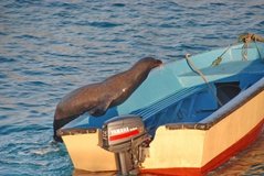 galapagoseilanden2609