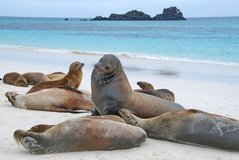 galapagoseilanden3005