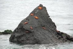 galapagoseilanden3012