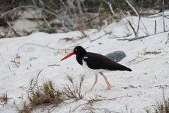 galapagoseilanden3035