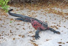 galapagoseilanden3041