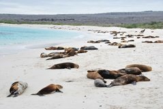 galapagoseilanden3046