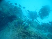 galapagoseilanden3253