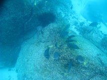 galapagoseilanden3255