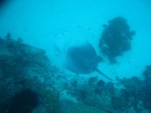 galapagoseilanden3257